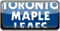 Maple Leafs Toronto 301161